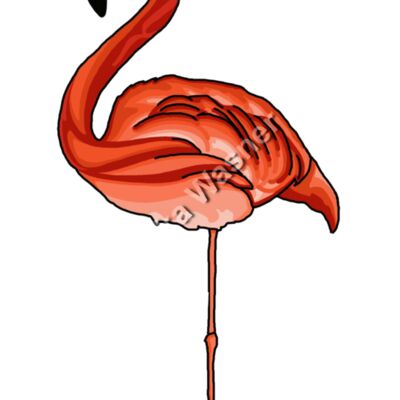Flamingo Thumbnail