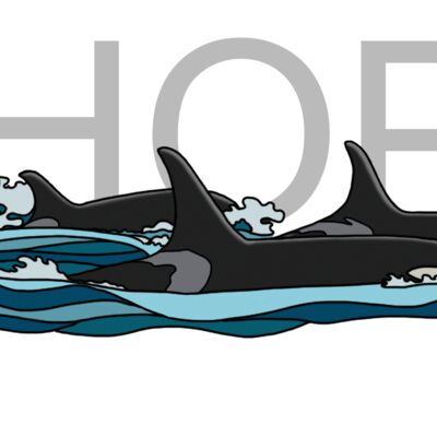 Ohope Orca Thumbnail