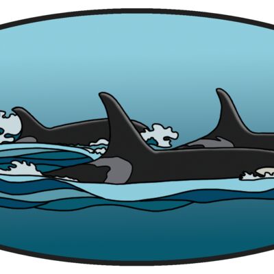 Orcas Thumbnail